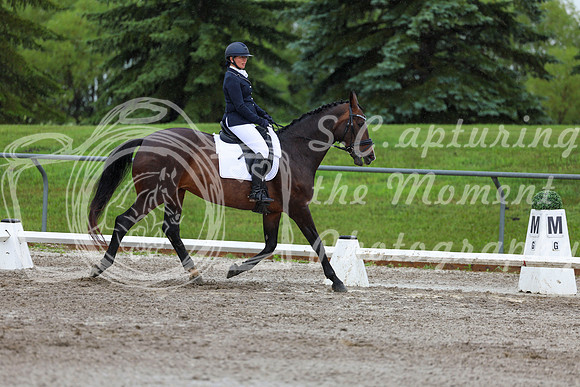 2025 - Dressage Festival - Sunday July 6th - 05675