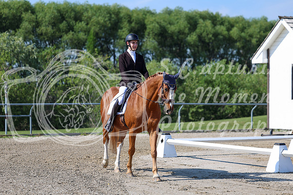 2025 - Dressage Festival - Saturday July 5th - 01644