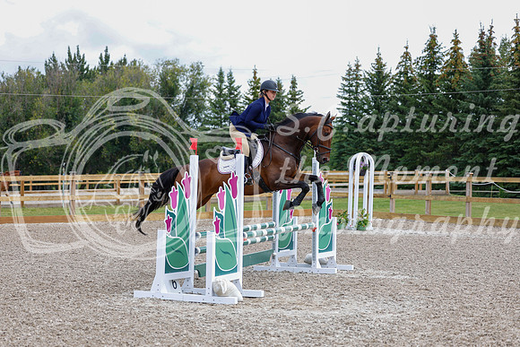 2025 - Haylee - Picco Horse Show - Saturday July 26th 03804