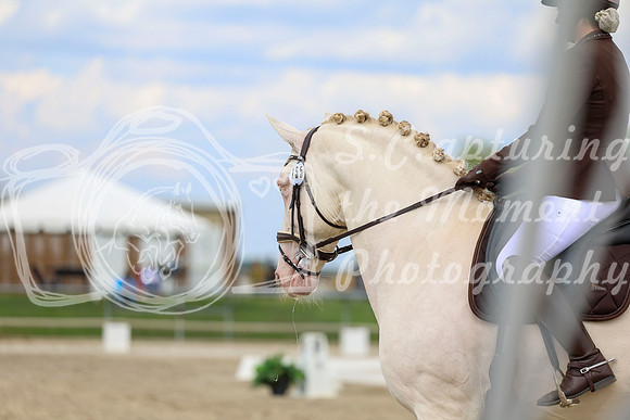 2025 - Dressage Festival - Saturday July 5th - 12072
