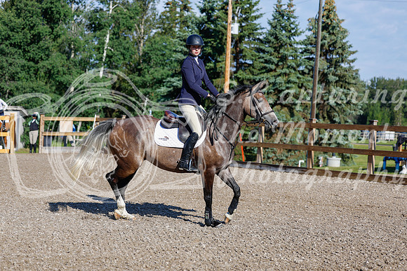 2025 - Haylee - Picco Horse Show - Thursday July 24th 00155