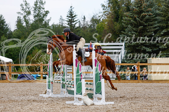 2025 - Haylee - Picco Horse Show - Sunday July 27th 01525
