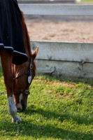2025 - Mykenzi - Jump With Hope - Thursday July 17th 00012