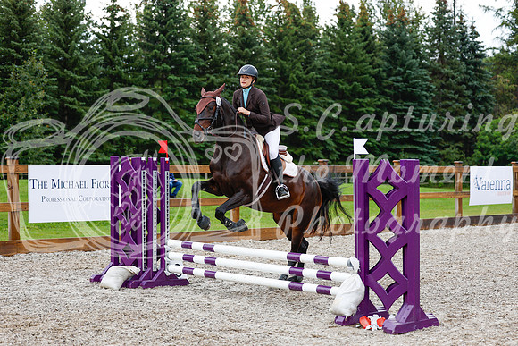 2025 - Haylee - Picco Horse Show - Sunday July 27th 00890
