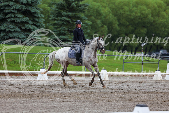 2025 - Dressage Festival - Sunday July 6th - 02296