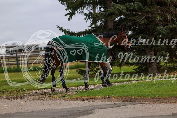 2025 - Shea - Bow Valley II - Friday May 16th - 00746