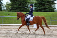2025 - Dressage Festival - Saturday July 5th - 13786