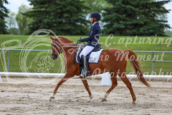2025 - Dressage Festival - Saturday July 5th - 13786