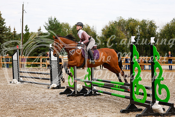 2025 - Haylee - Picco Horse Show - Saturday July 26th 01728