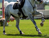 Mid Summer Classic II