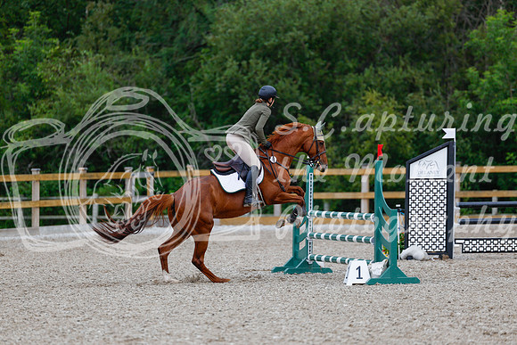 2025 - Haylee - Picco Horse Show - Sunday July 27th 03631