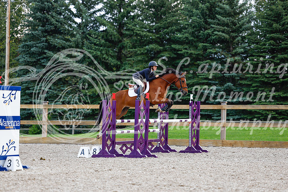 2025 - Haylee - Picco Horse Show - Sunday July 27th 04883