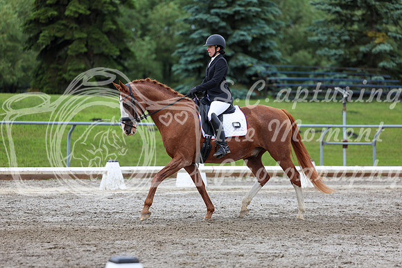 2025 - Dressage Festival - Sunday July 6th - 10406
