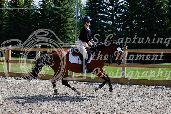 2025 - Haylee - Picco Horse Show - Thursday July 24th 02254