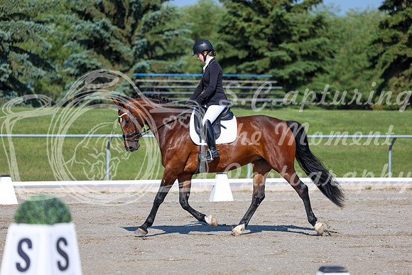 2025 - Dressage Festival - Saturday July 5th - 01269