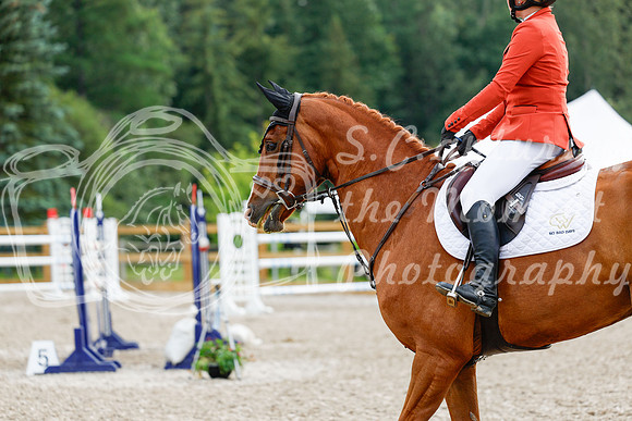 2025 - Haylee - Picco Horse Show - Saturday July 26th 09177