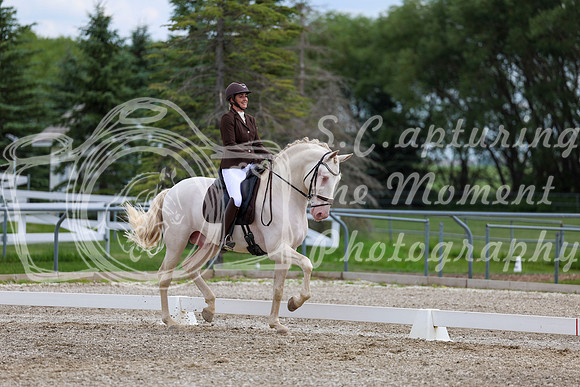2025 - Dressage Festival - Saturday July 5th - 12147