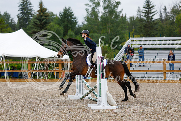 2025 - Haylee - Picco Horse Show - Sunday July 27th 00135