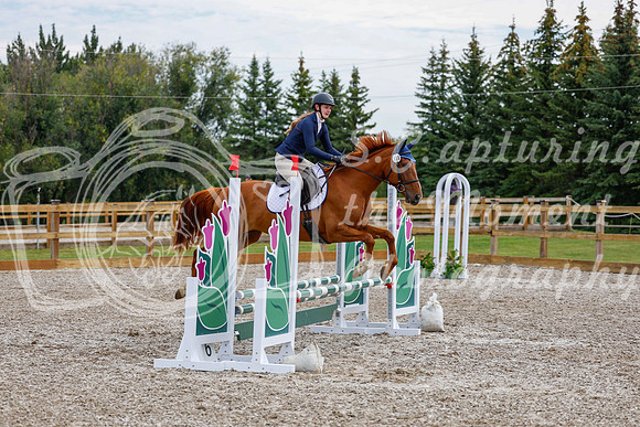 2025 - Haylee - Picco Horse Show - Saturday July 26th 01771