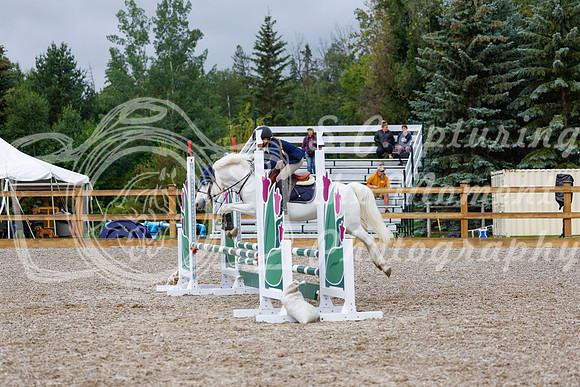2025 - Haylee - Picco Horse Show - Sunday July 27th 01295