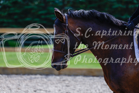 2025 - Haylee - Picco Horse Show - Thursday July 24th 01996