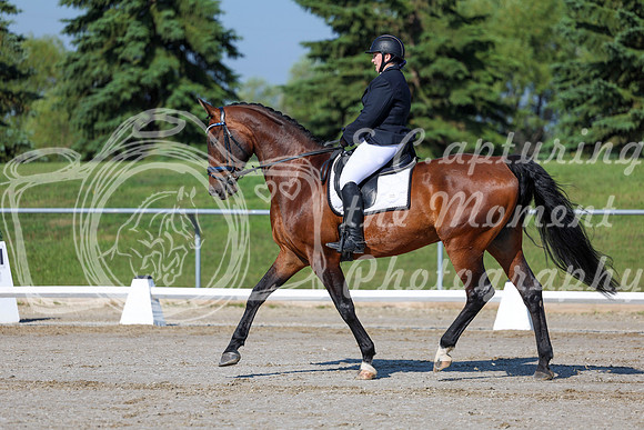 2025 - Dressage Festival - Saturday July 5th - 01053