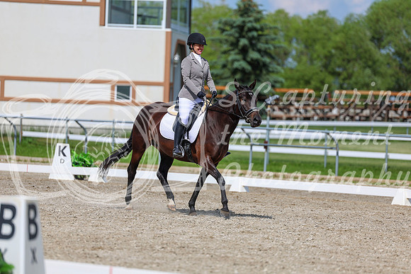 2025 - Dressage Festival - Saturday July 5th - 14545