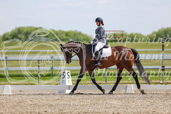 2025 - Dressage Festival - Saturday July 5th - 07046