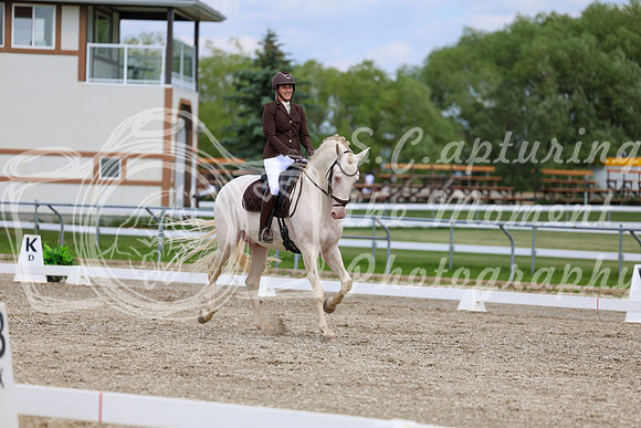 2025 - Dressage Festival - Saturday July 5th - 12154