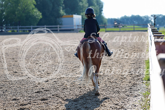 2025 - Dressage Festival - Saturday July 5th - 00024