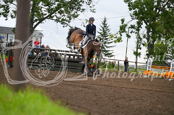2025 - MJ - Teesdale - Saturday July 26th - 10073