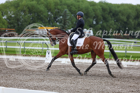 2025 - Dressage Festival - Sunday July 6th - 06578