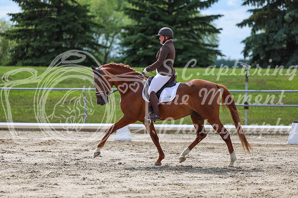 2025 - Dressage Festival - Saturday July 5th - 14154