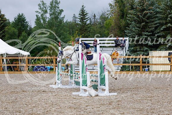 2025 - Haylee - Picco Horse Show - Sunday July 27th 01296