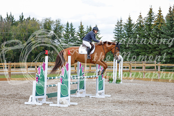 2025 - Haylee - Picco Horse Show - Saturday July 26th 07287