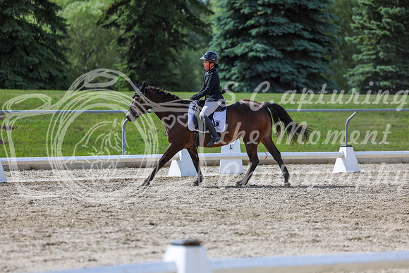 2025 - Dressage Festival - Saturday July 5th - 15535
