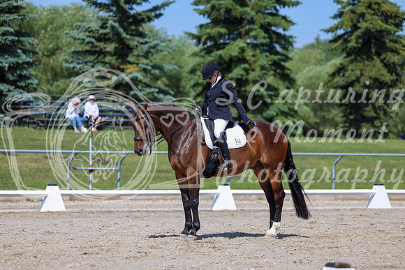 2025 - Dressage Festival - Saturday July 5th - 05281