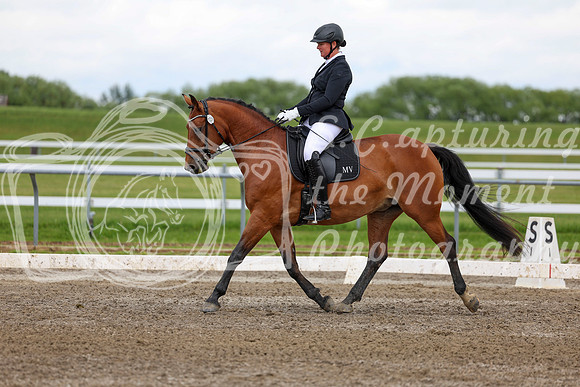 2025 - Dressage Festival - Sunday July 6th - 11720