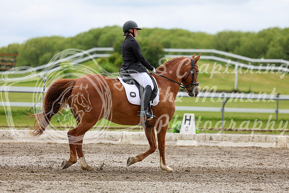 2025 - Dressage Festival - Sunday July 6th - 11107