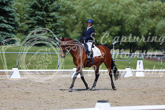 2025 - Dressage Festival - Saturday July 5th - 05642