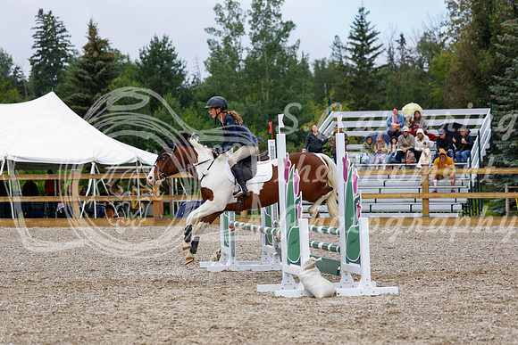 2025 - Haylee - Picco Horse Show - Sunday July 27th 01679