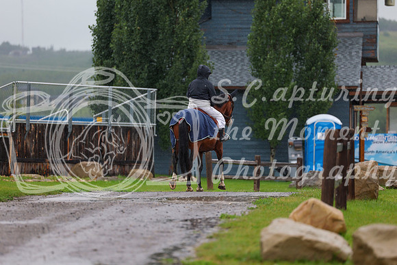 2025 - Shea - Mid Summer Classic II - Thursday July 17th - 02903