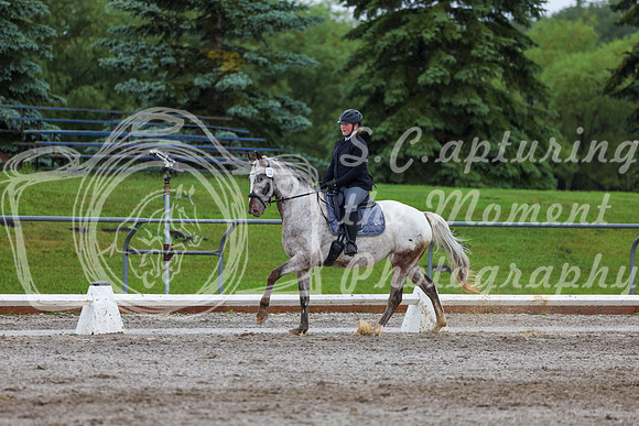 2025 - Dressage Festival - Sunday July 6th - 02166