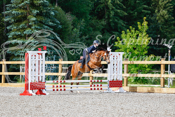 2025 - Haylee - Picco Horse Show - Friay July 25th 00656