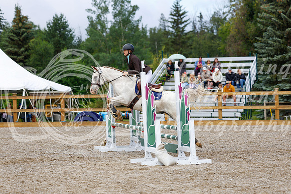 2025 - Haylee - Picco Horse Show - Sunday July 27th 01974