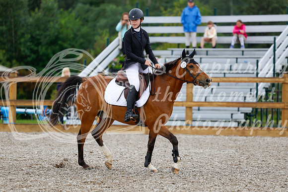 2025 - Haylee - Picco Horse Show - Sunday July 27th 00495