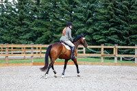 2025 - Haylee - Picco Horse Show - Sunday July 27th 05261