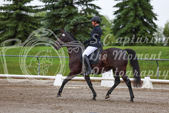 2025 - Dressage Festival - Sunday July 6th - 01905