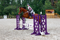 2025 - Haylee - Picco Horse Show - Saturday July 26th 01682