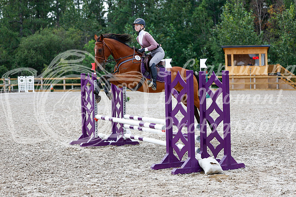 2025 - Haylee - Picco Horse Show - Saturday July 26th 01682